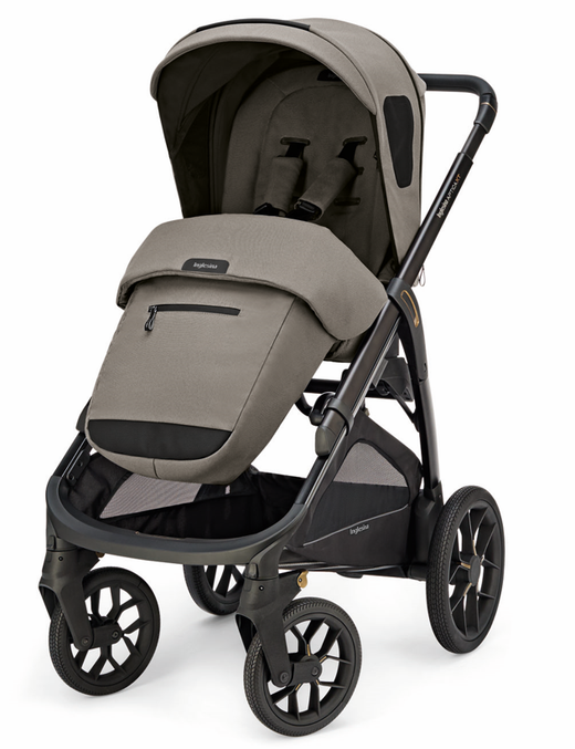 Carro 2 piezas Inglesina Aptica XT