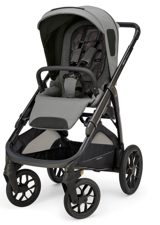 Carro 2 piezas Inglesina Aptica XT