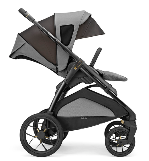 Carro 2 piezas Inglesina Aptica XT
