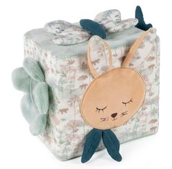 Cubo de actividades Serengueti Pasito a Pasito