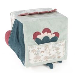 Cubo de actividades Serengueti Pasito a Pasito