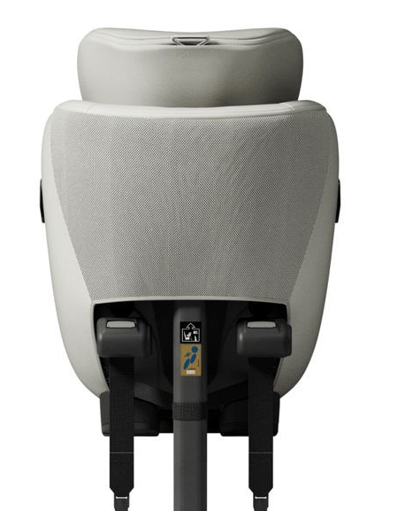 Silla de auto Axkid Minikid 4 Max