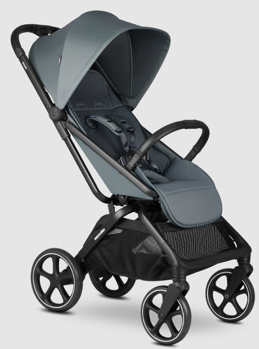 Silla de paseo Easywalker Rockey L