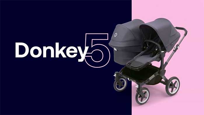 donkey5-bugaboo