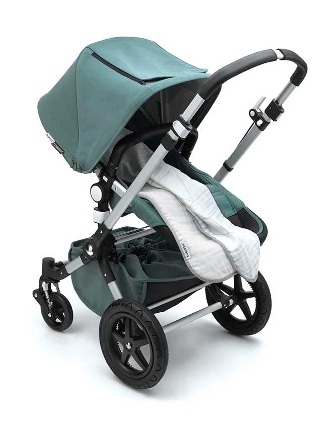 kite-bugaboo